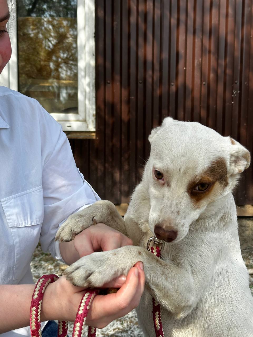 Малышка Боня