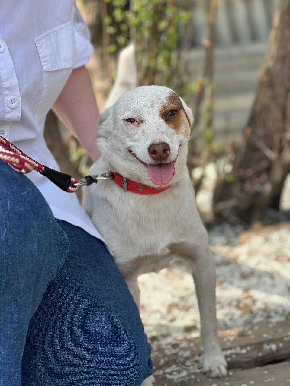 Малышка Боня