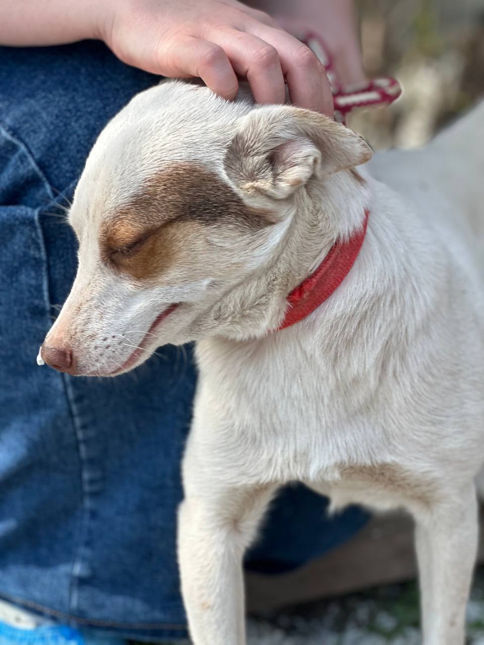 Малышка Боня