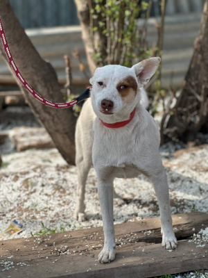 Малышка Боня