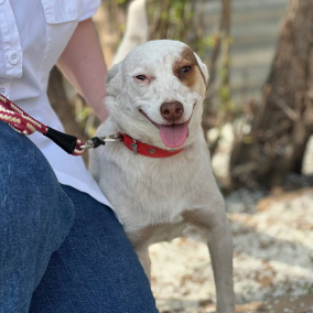 Малышка Боня