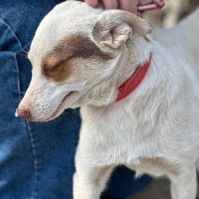 Малышка Боня